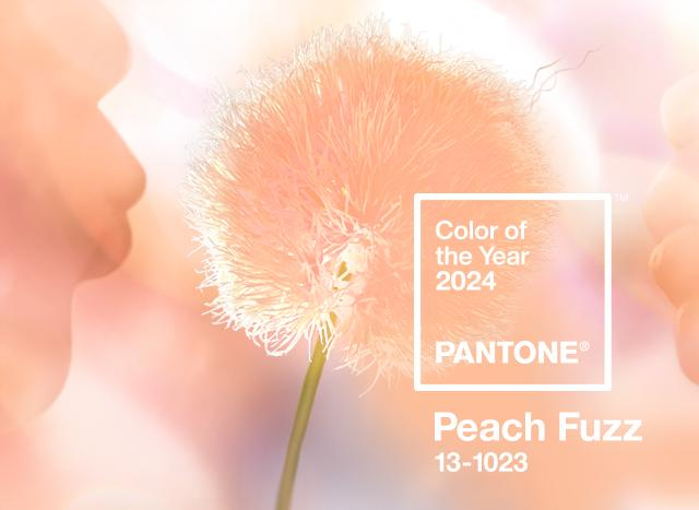 Color of the year 2024 - Pantone